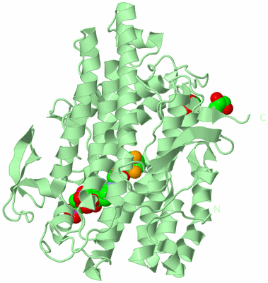 Image Biological Unit 2