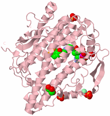 Image Biological Unit 3