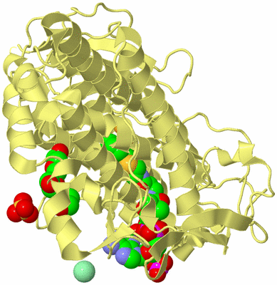 Image Biological Unit 4