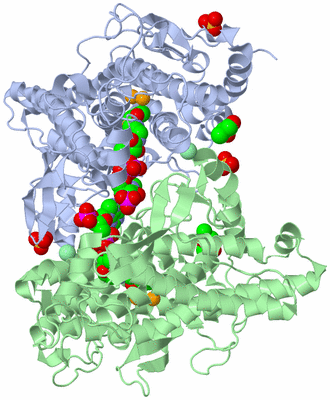 Image Biological Unit 5
