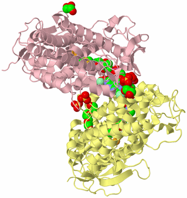 Image Biological Unit 6
