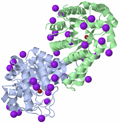 Image Asym./Biol. Unit