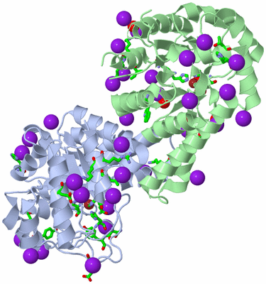 Image Asym./Biol. Unit - sites