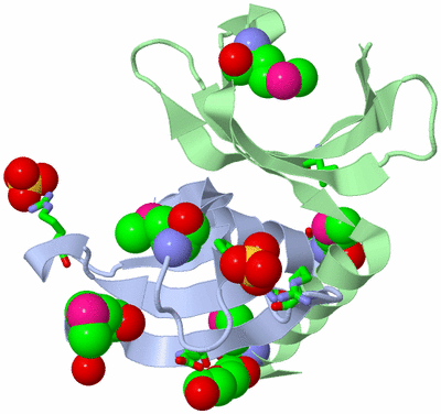 Image Asym./Biol. Unit - sites