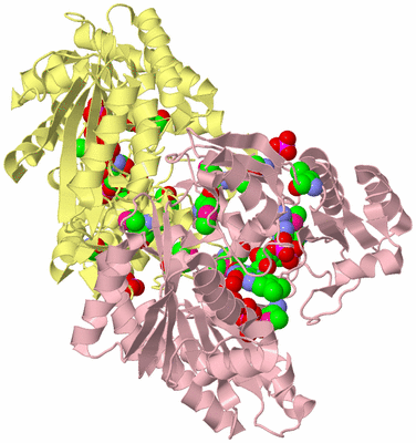 Image Biological Unit 2