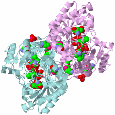 Image Biological Unit 3