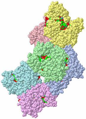 Image Asym. Unit - sites