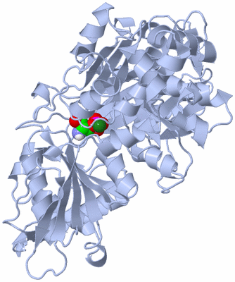 Image Biological Unit 2