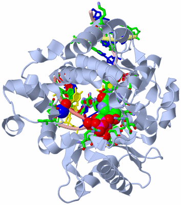 Image Biol. Unit 1 - sites