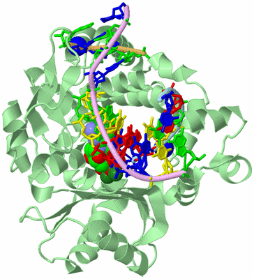 Image Biological Unit 2