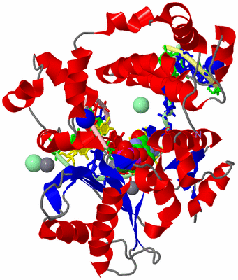 Image Asym./Biol. Unit