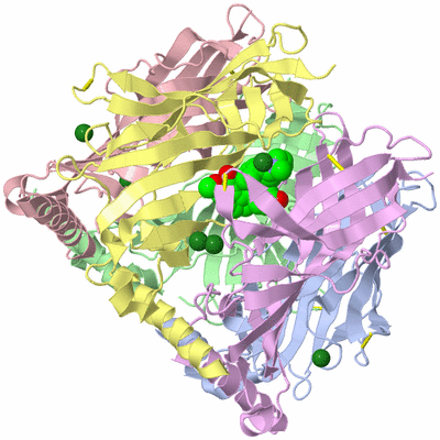 Image Biological Unit 1