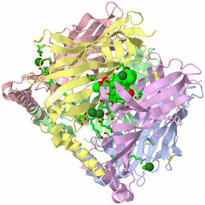 Image Biol. Unit 1 - sites