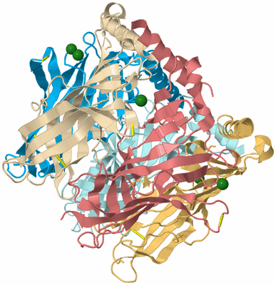 Image Biological Unit 2