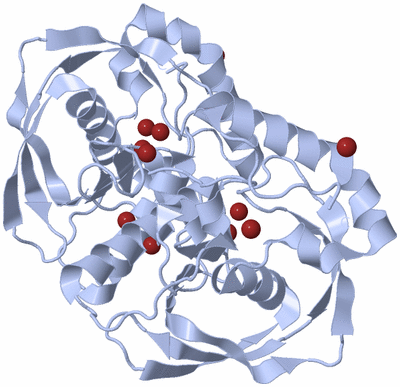 Image Biological Unit 2