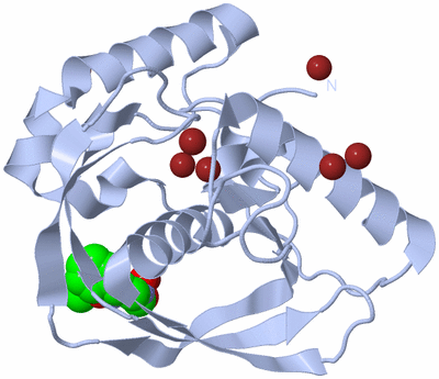 Image Biological Unit 1