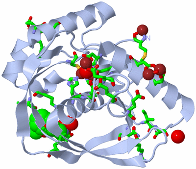 Image Biol. Unit 1 - sites