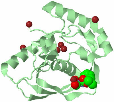 Image Biological Unit 2