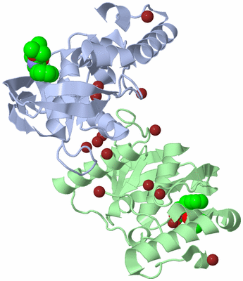 Image Biological Unit 3