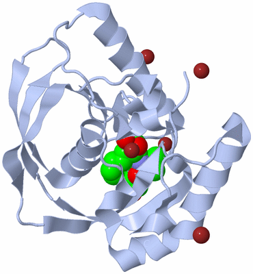 Image Biological Unit 1