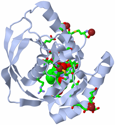 Image Biol. Unit 1 - sites