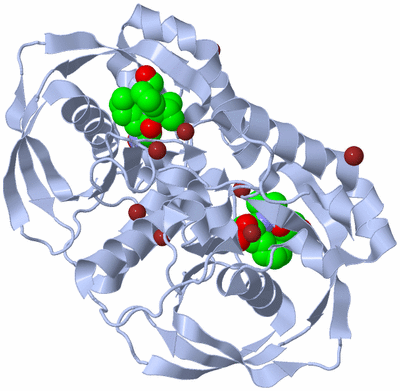 Image Biological Unit 2