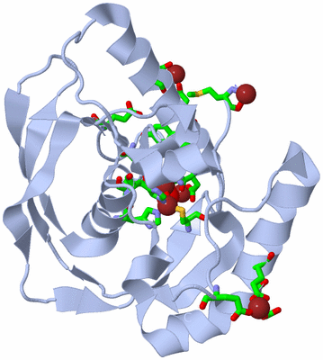 Image Biol. Unit 1 - sites