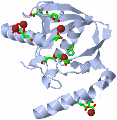 Image Biol. Unit 1 - sites