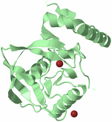 Image Biological Unit 2