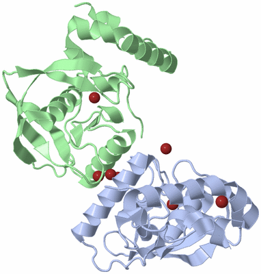 Image Biological Unit 3