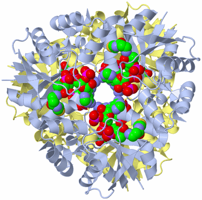 Image Biological Unit 1