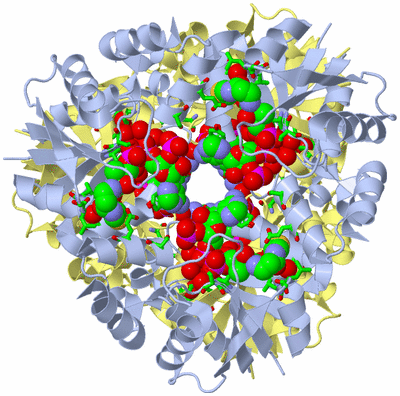 Image Biol. Unit 1 - sites