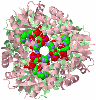 Image Biological Unit 2