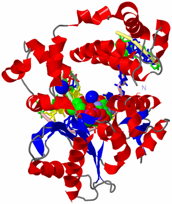 Image Asym./Biol. Unit