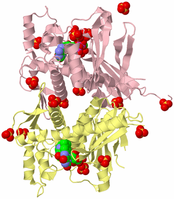 Image Biological Unit 2