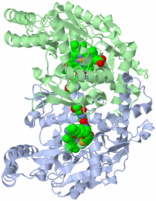 Image Asym./Biol. Unit