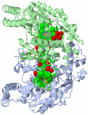 Image Asym./Biol. Unit - sites