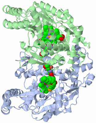 Image Asym./Biol. Unit