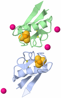 Image Biological Unit 3