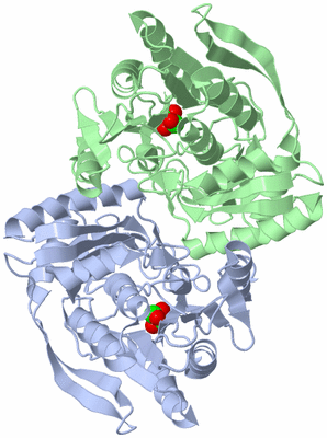 Image Asym./Biol. Unit