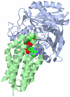 Image Biological Unit 2