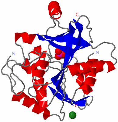 Image Asymmetric Unit