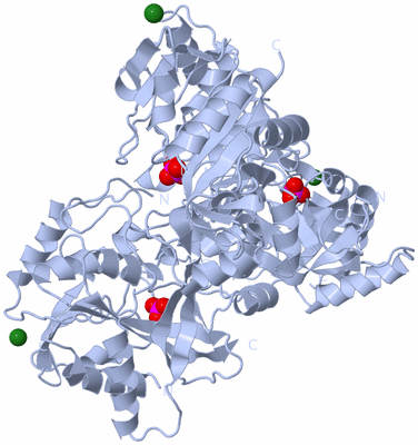 Image Biological Unit 1