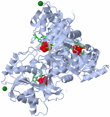Image Biol. Unit 1 - sites