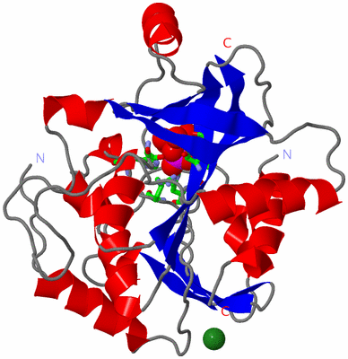 Image Asym. Unit - sites