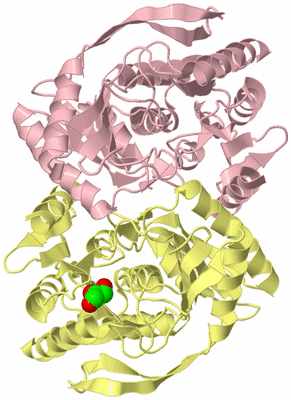 Image Biological Unit 2