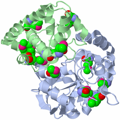 Image Biological Unit 1