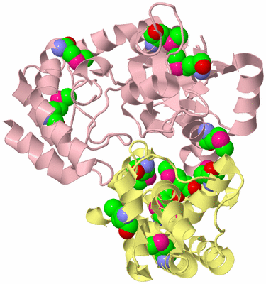 Image Biological Unit 2