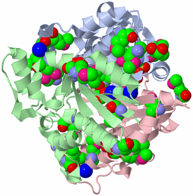 Image Biological Unit 1