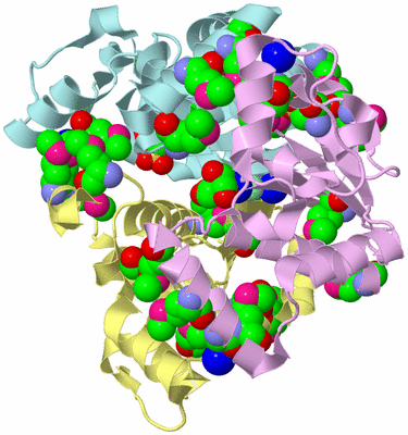 Image Biological Unit 2